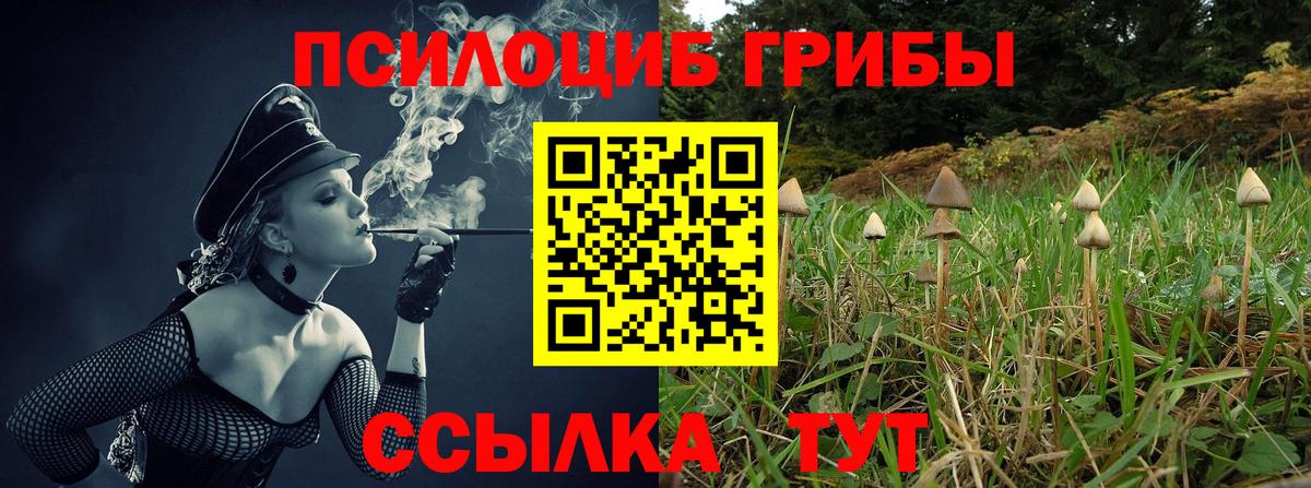 Псилоцибиновые грибы ЛСД  Псилоцибиновые грибы GOLDEN TEACHER  Сызрань  Вход с VPN 